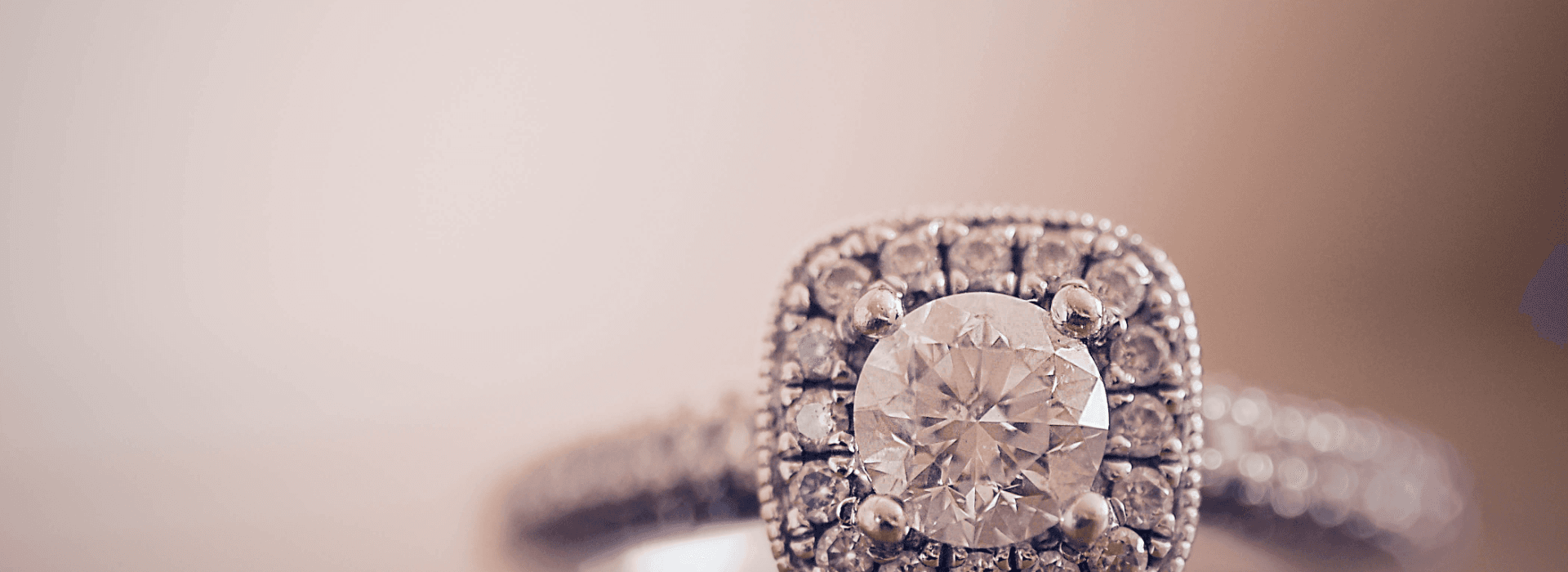 Shine in Style, Shine in Culture